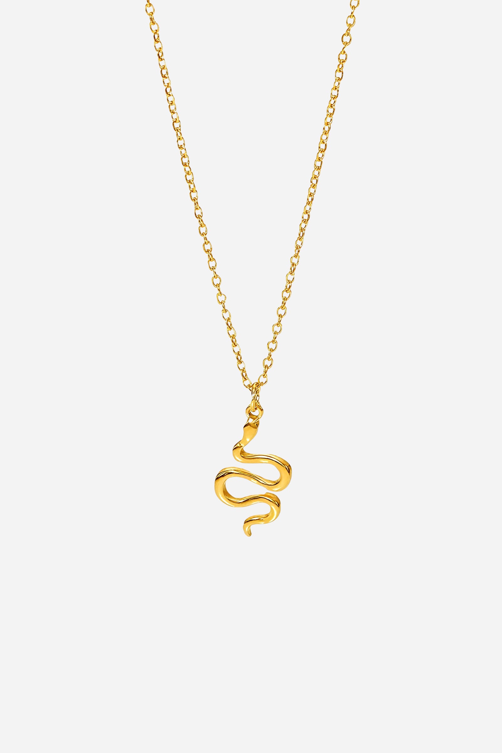 Top-view image of GLISTIA gold-plated snake pendant necklace on link chain.